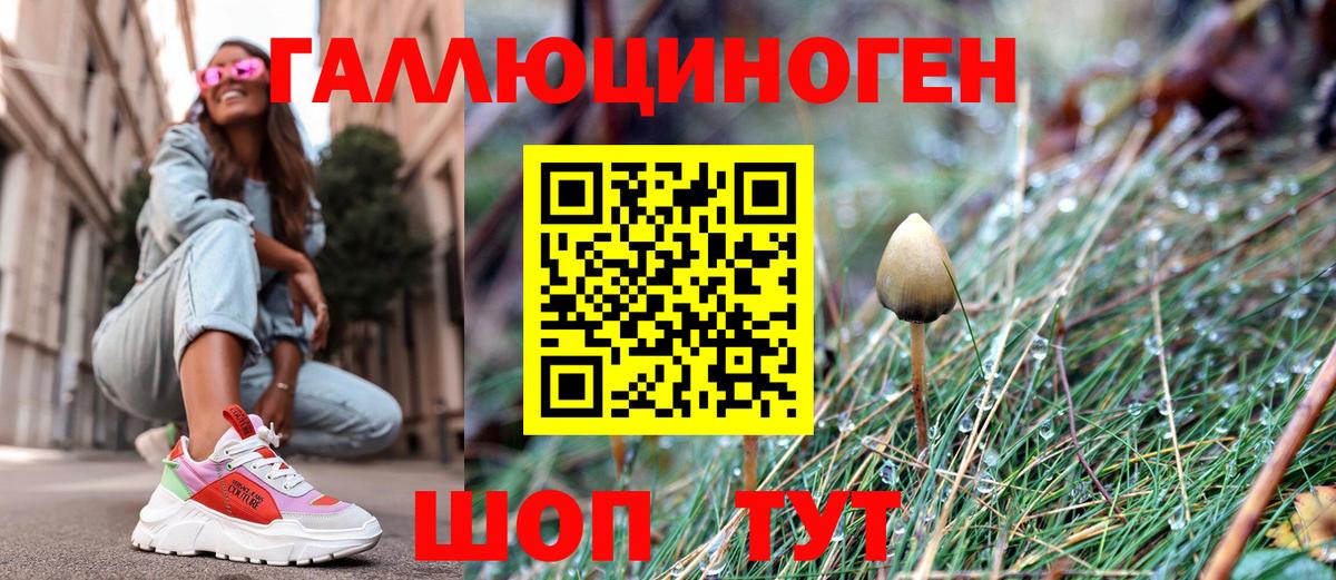 Псилоцибиновые грибы ЛСД Елец