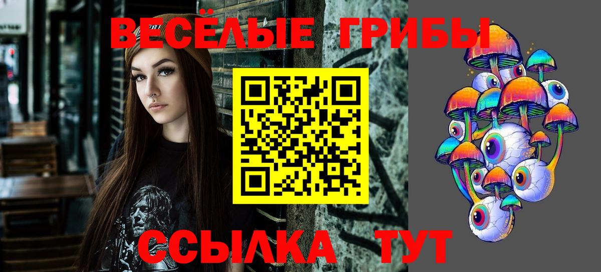 Галлюциногенные грибы Cubensis  цены   Елец  Вход с VPN 